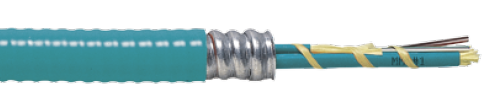 Tight Buffer Distribution Interlock Armored Riser Cable OFCR CSA FT4