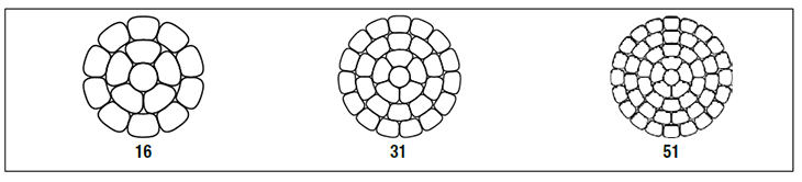 TransPowr® AAC-TW Bare Overhead Conductor (US)*