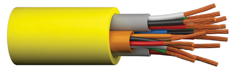 Composite Access Control Cable, Plenum