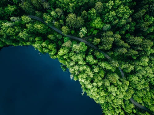 Scenic Road