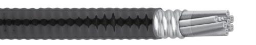 CCW® Armored Control SPEC 9525
