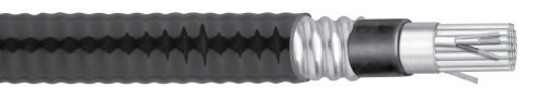 CCW® Armored Instrumentation SPEC 9350