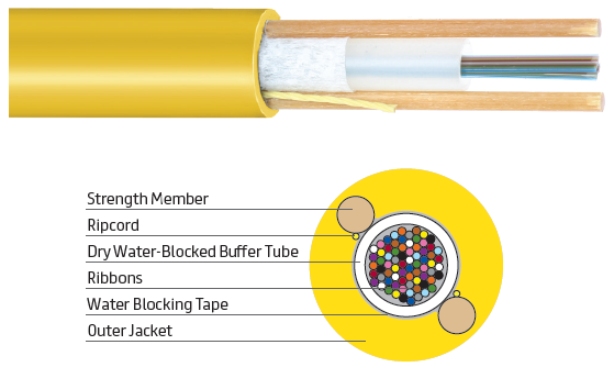 144f FusionLink™ RICT Indoor Riser with 12 fibers per FlexRibbon® 200um