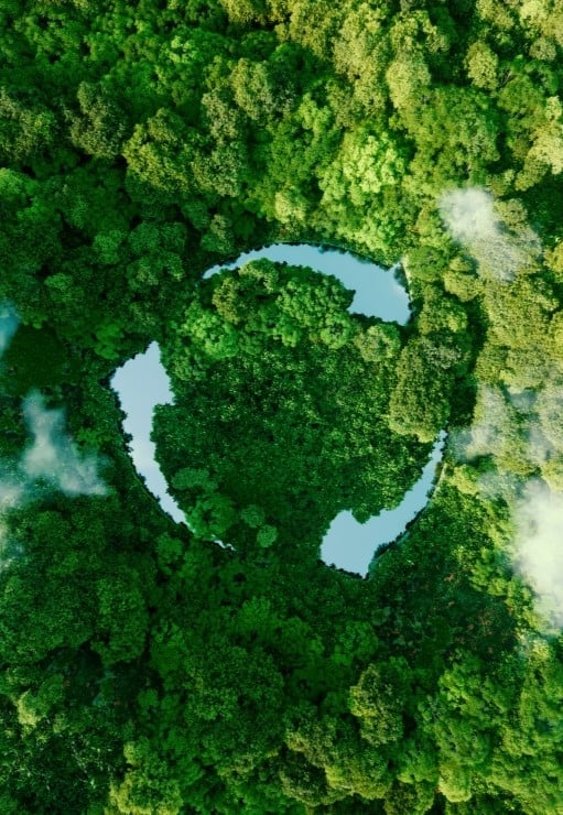 Sustainability Ecology_510x740